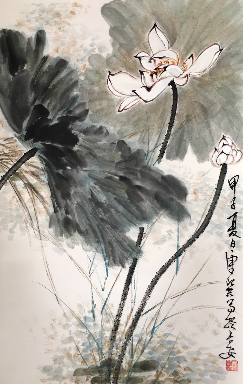 康师尧  荷花  