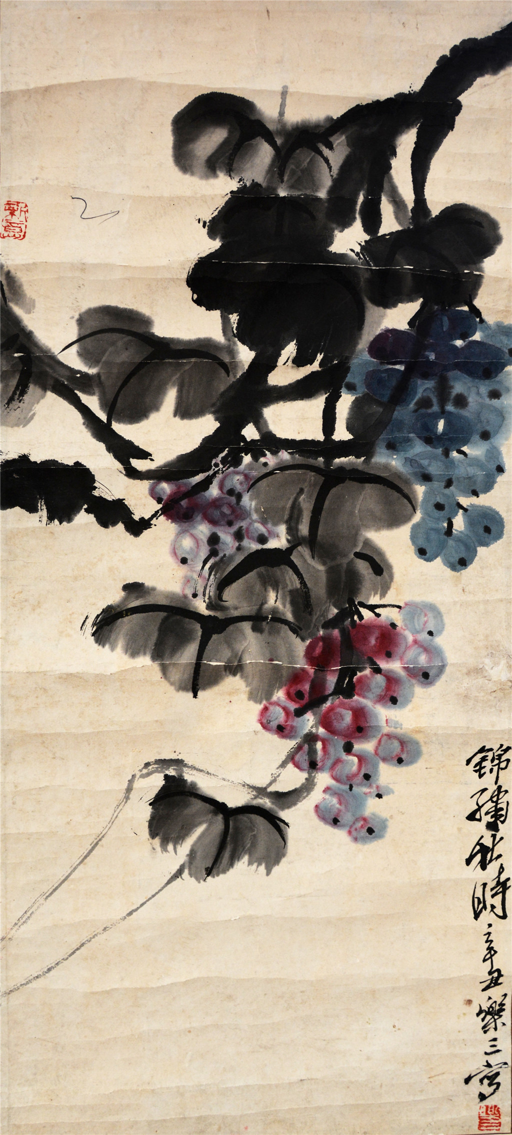 诸乐三 葡萄