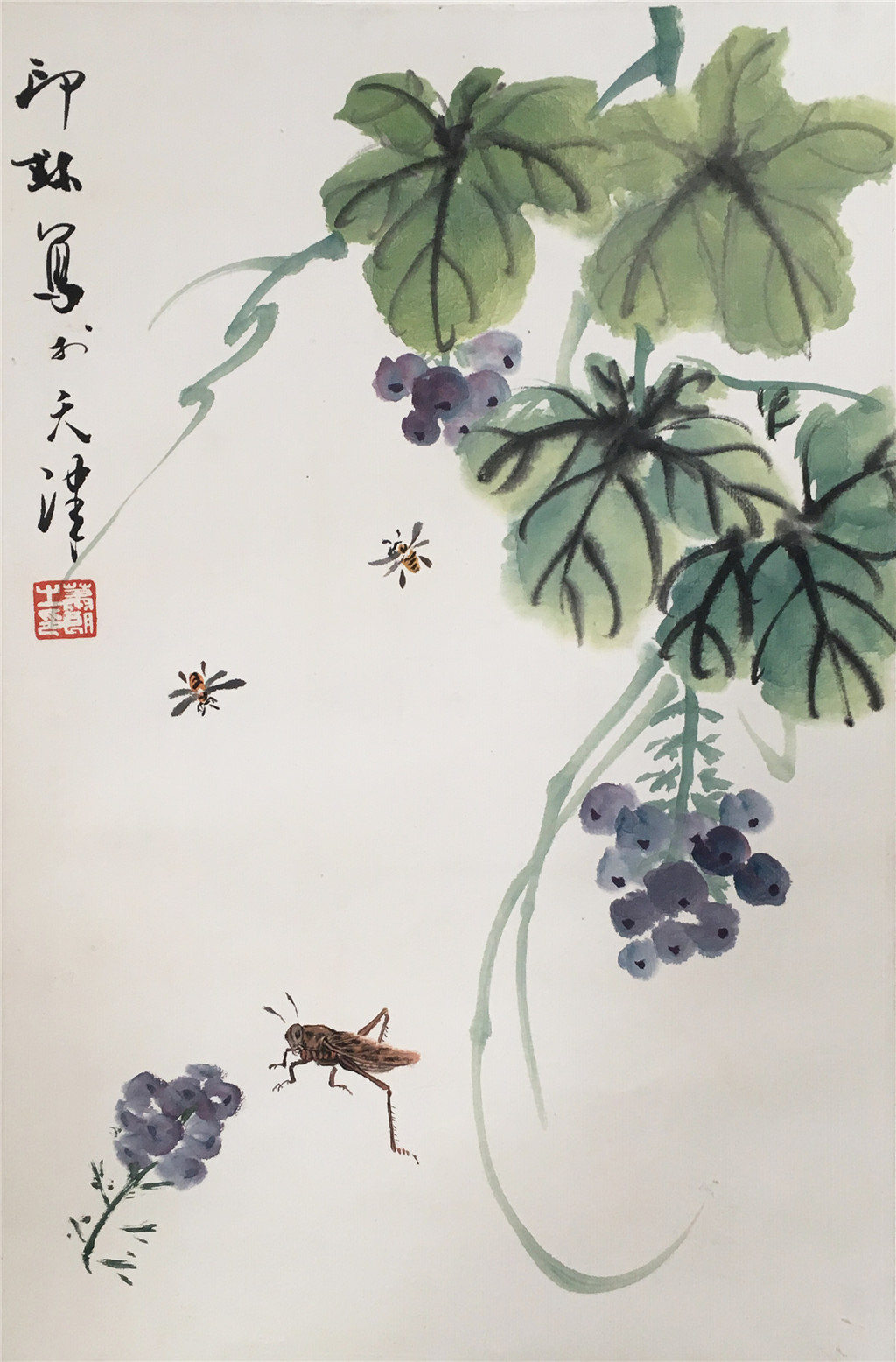 萧朗 草虫花卉