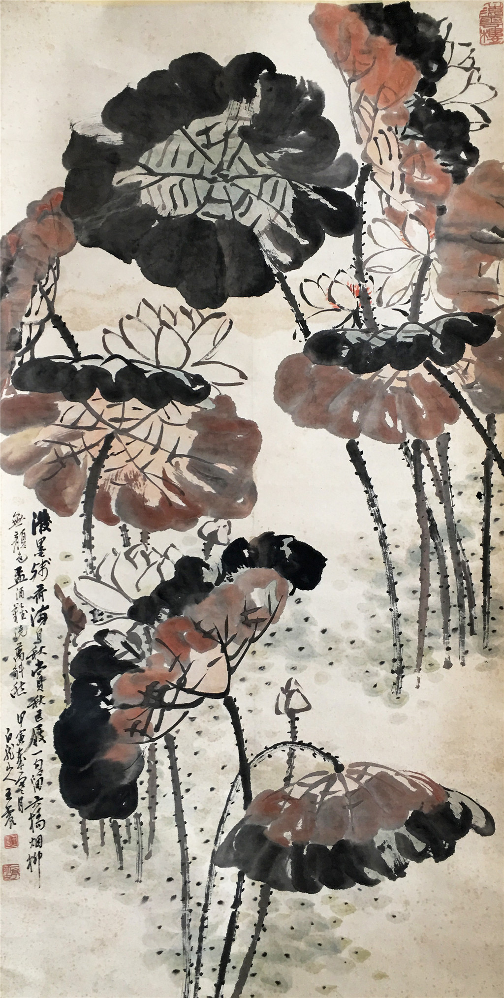 王震  荷花    
