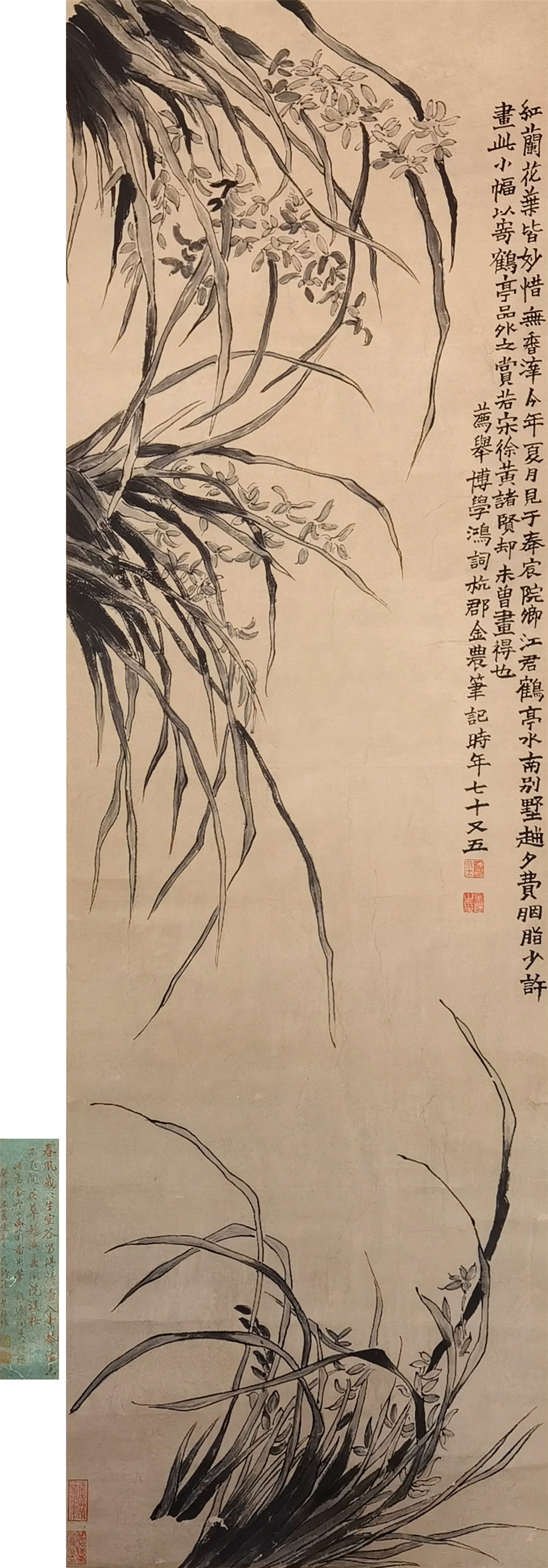 （清）金农  兰草  