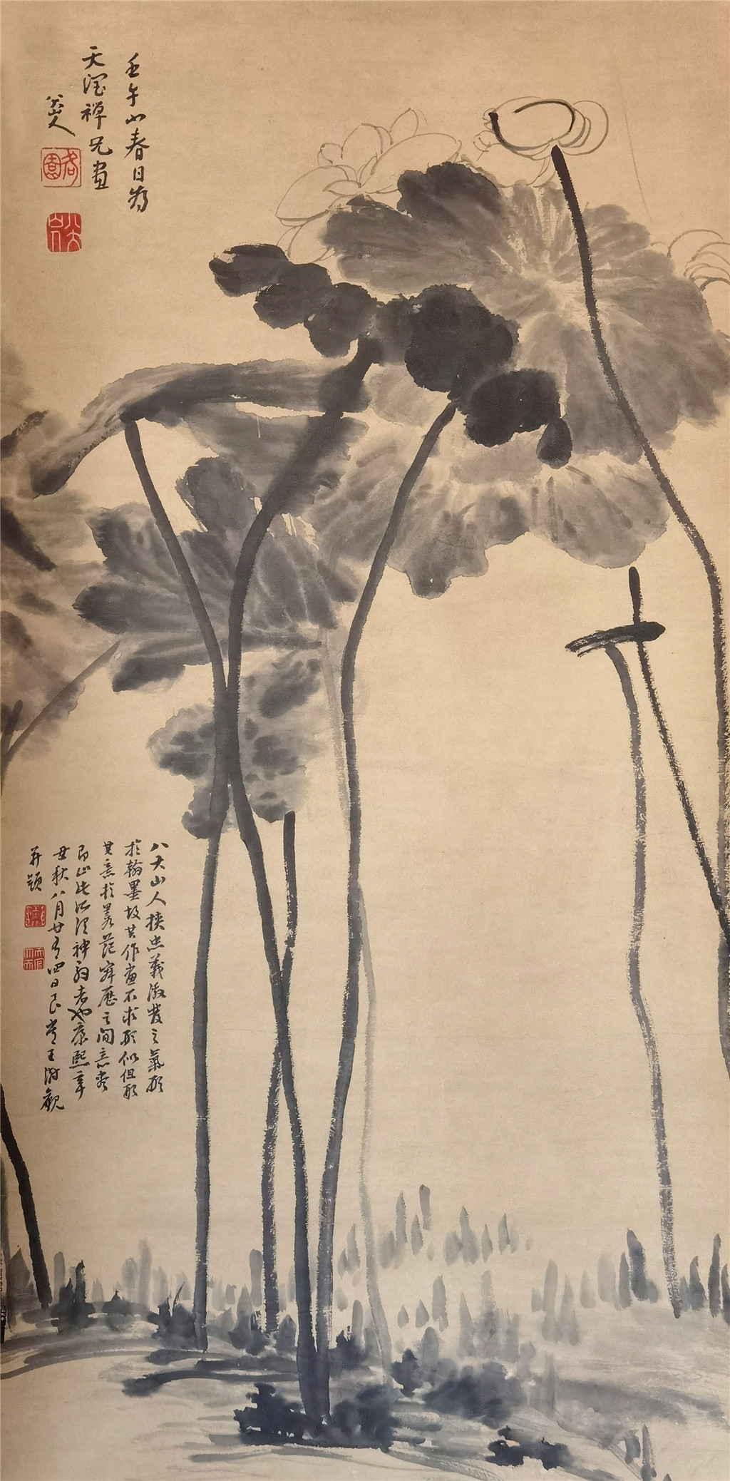(清)八大山人 墨荷