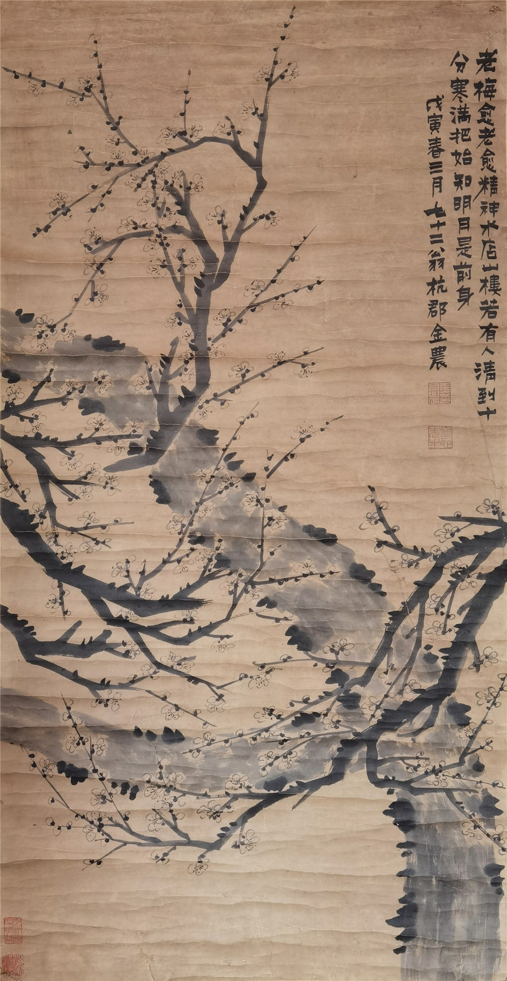 金农     梅花 
