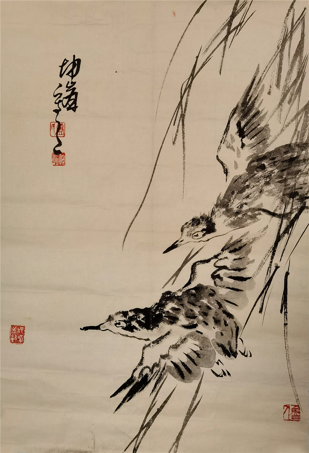 卢坤峰   花鸟 
