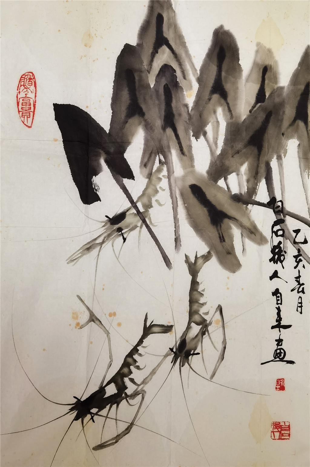齐自来    虾