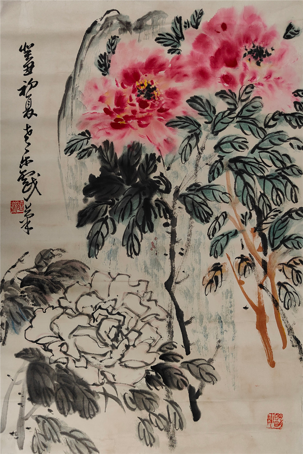 诸乐三      花卉