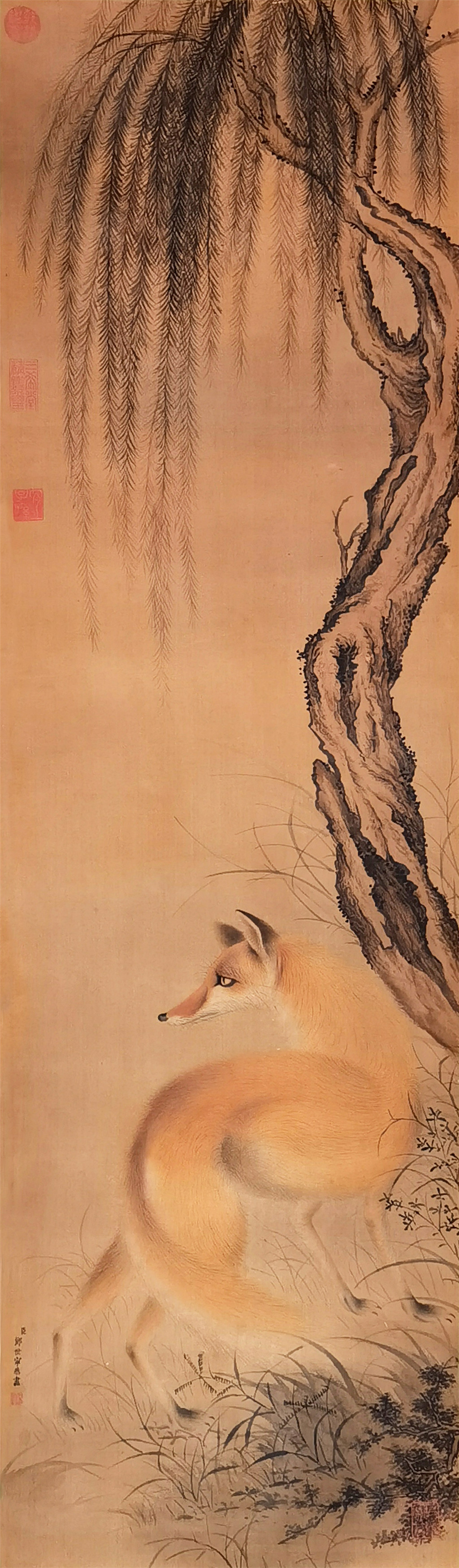 郎世宁     柳下狐