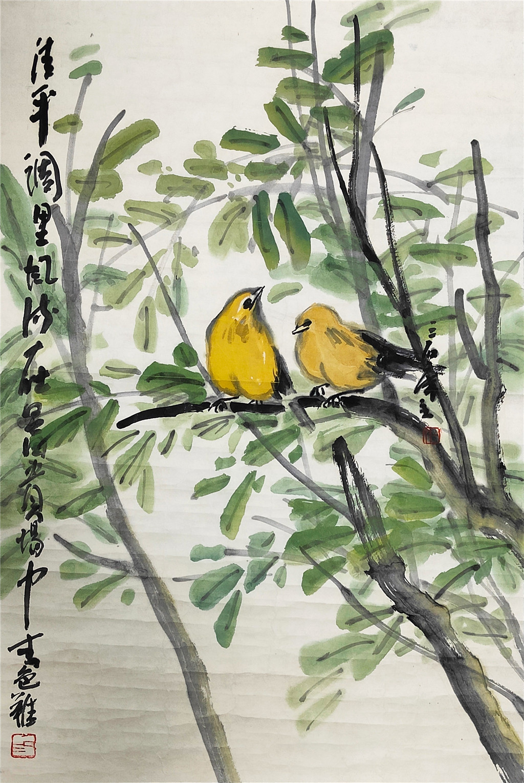 曾宓     花鸟