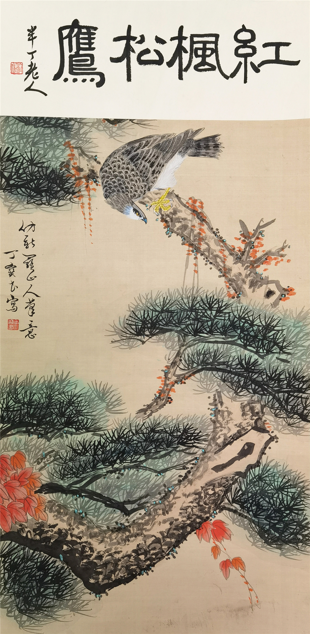 丁宝书     红枫松鹰