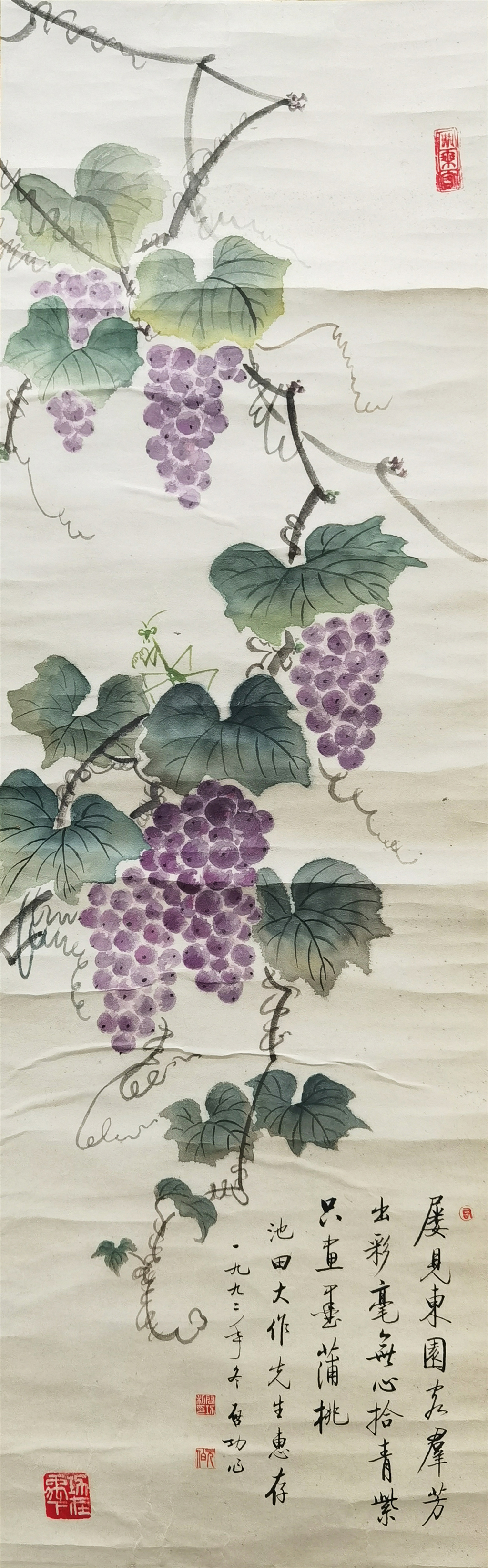 启功     葡萄