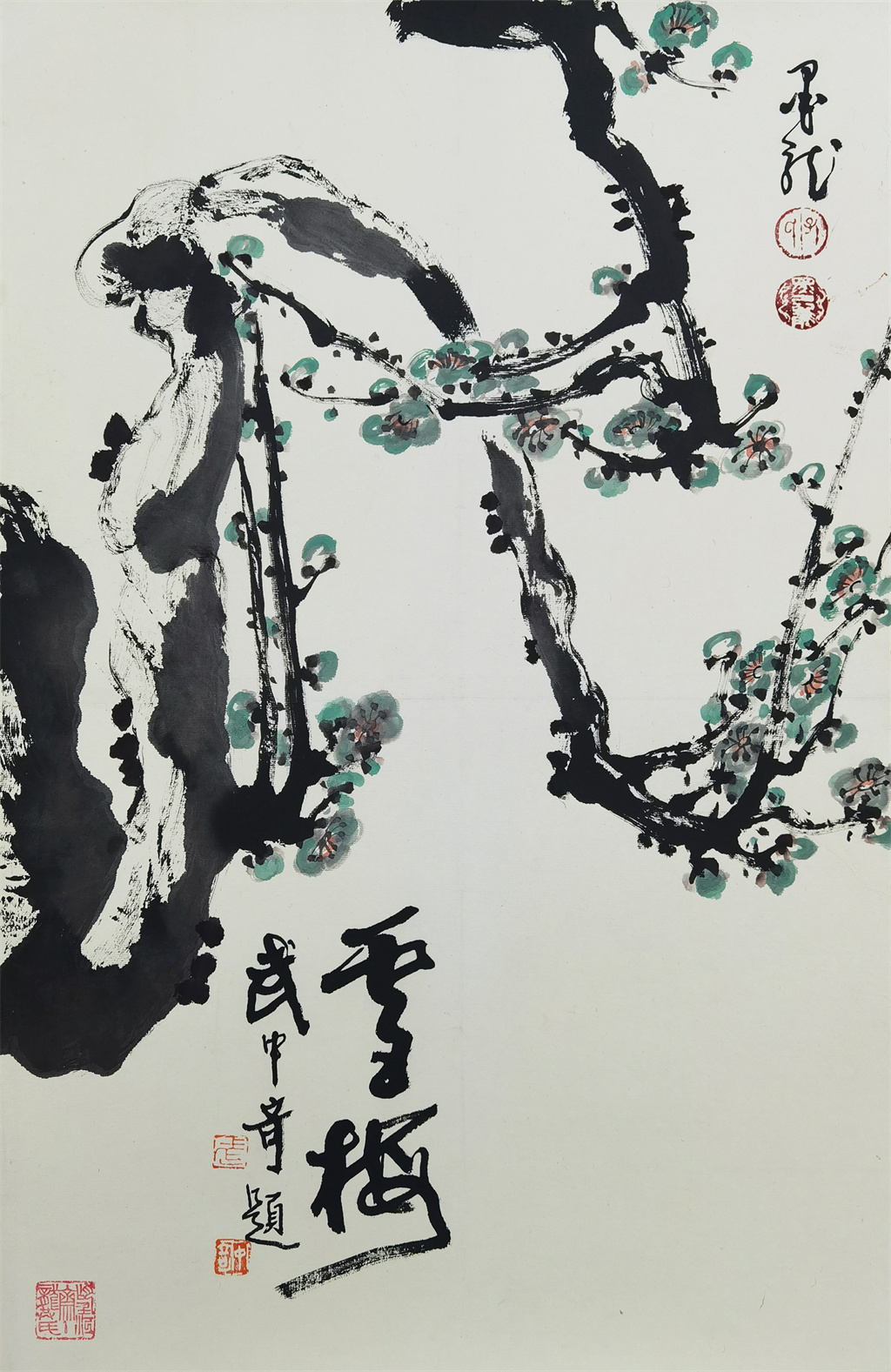 黑伯龙     梅花
