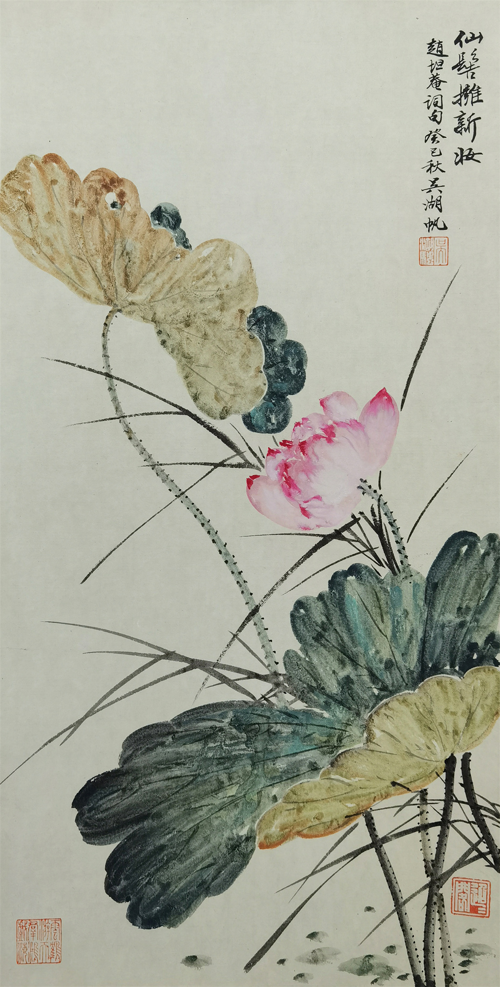 吴湖帆     荷花