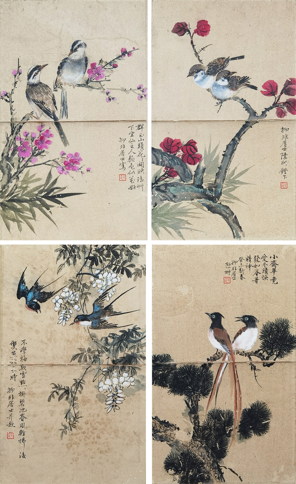 陆抑非     花鸟册页
