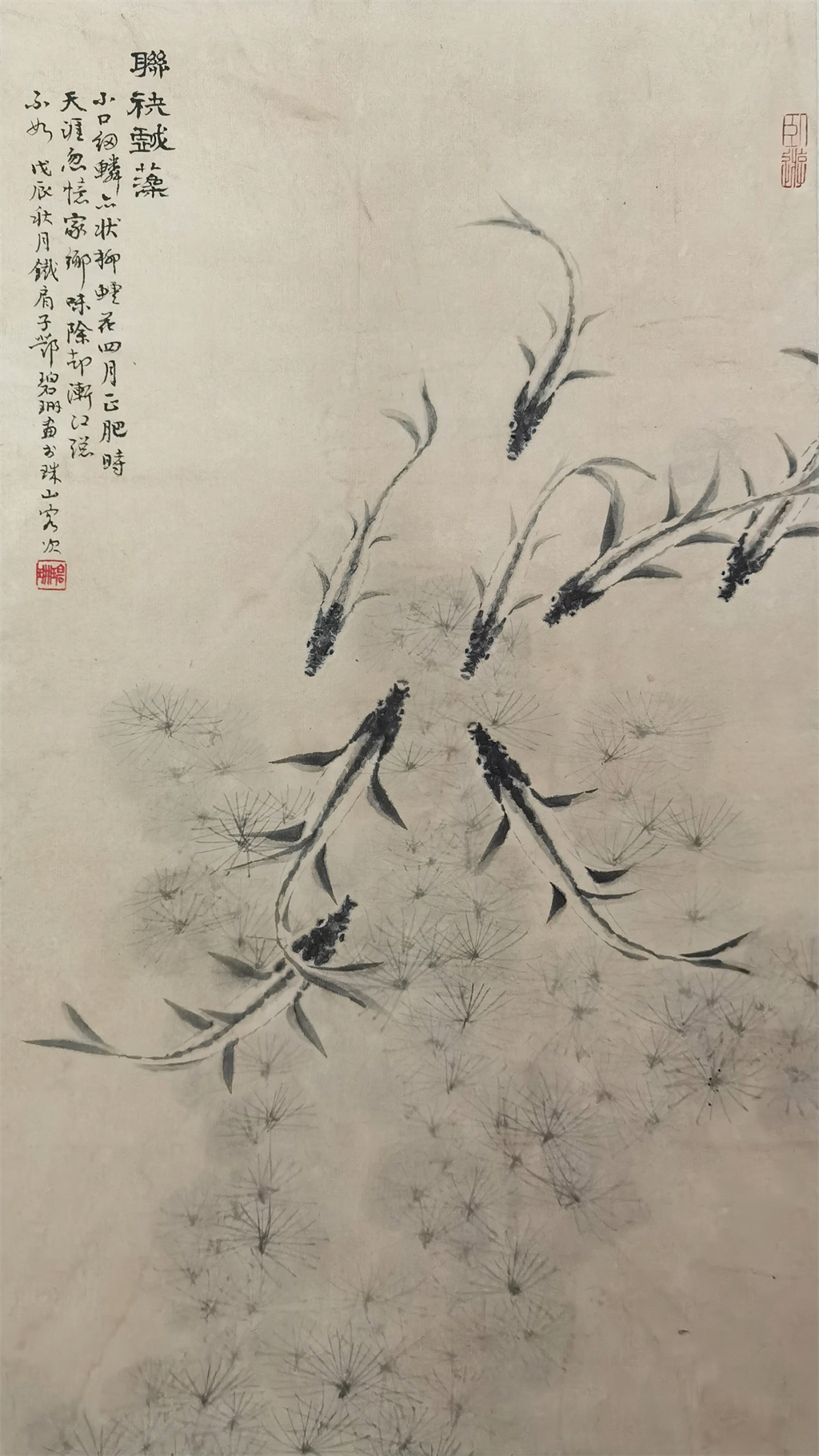 邓碧珊     鱼乐图