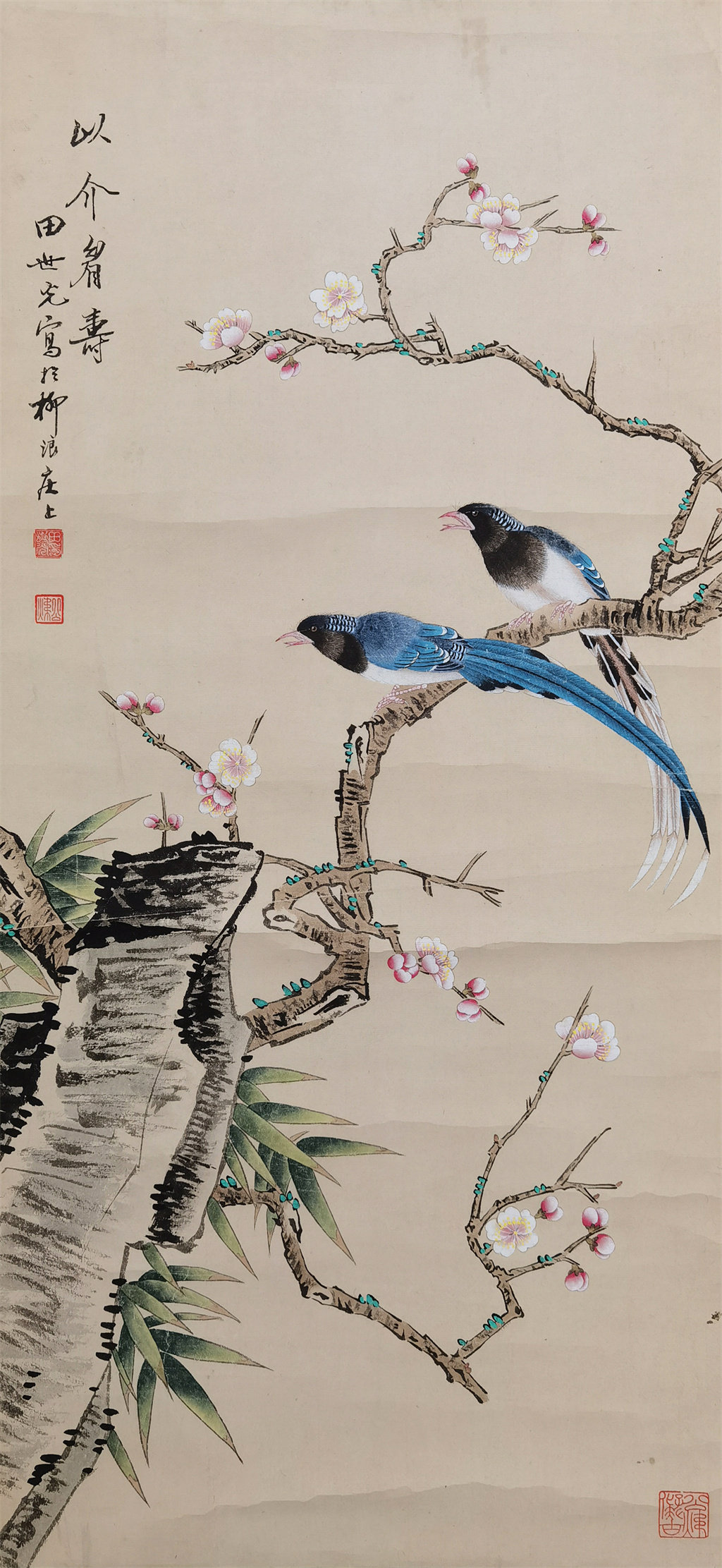田世光     花鸟