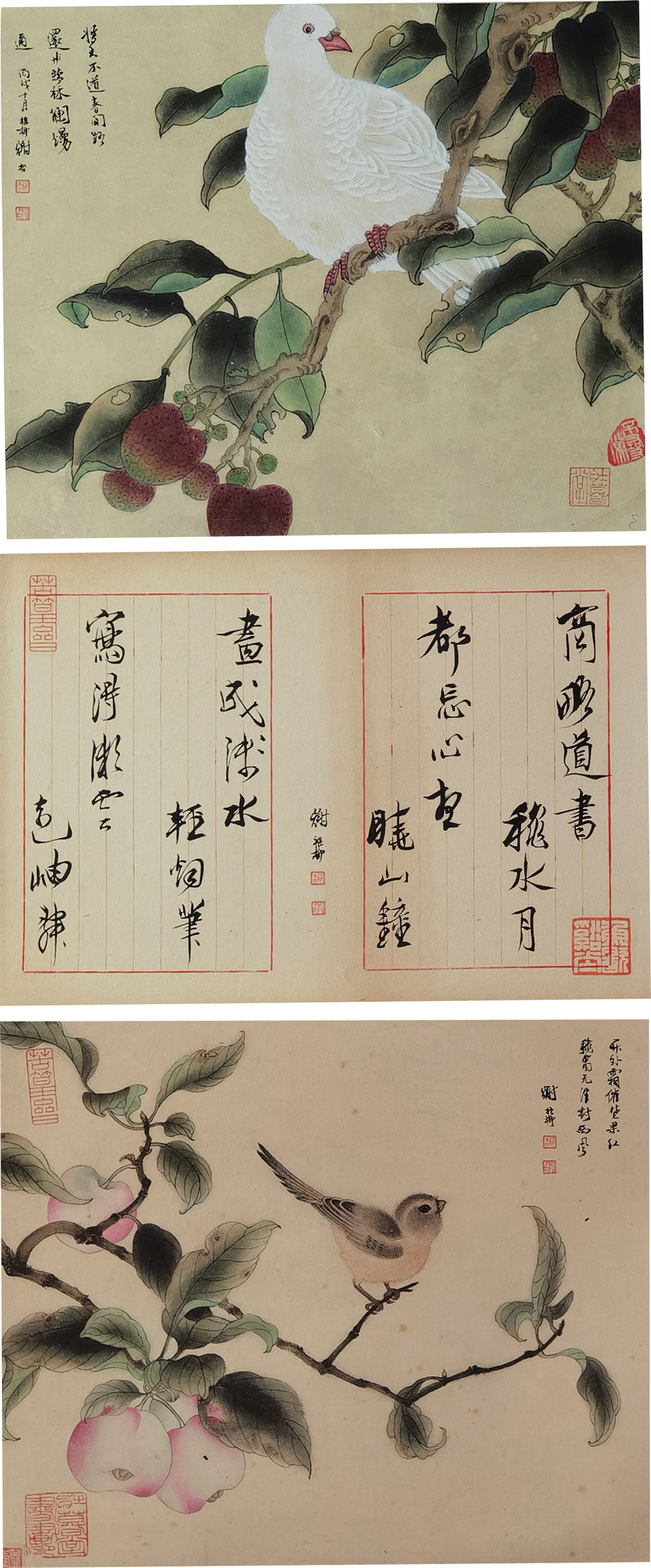谢稚柳     工笔花鸟三挖