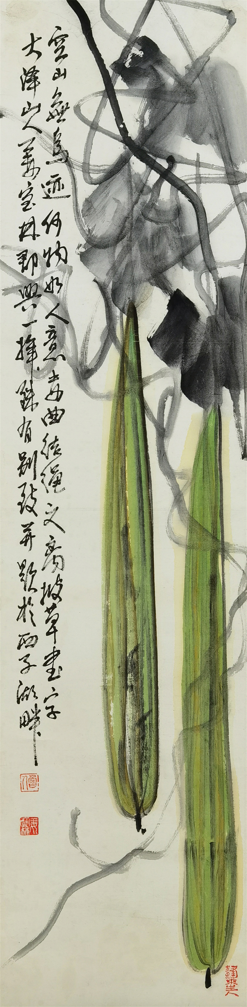 姜宝林　     丝瓜