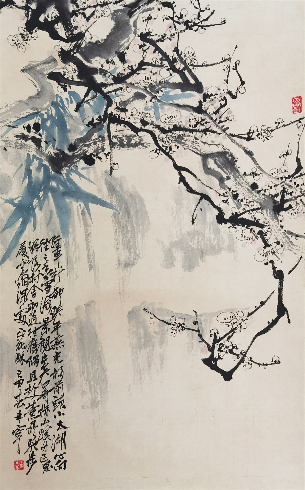 于希宁　     梅花