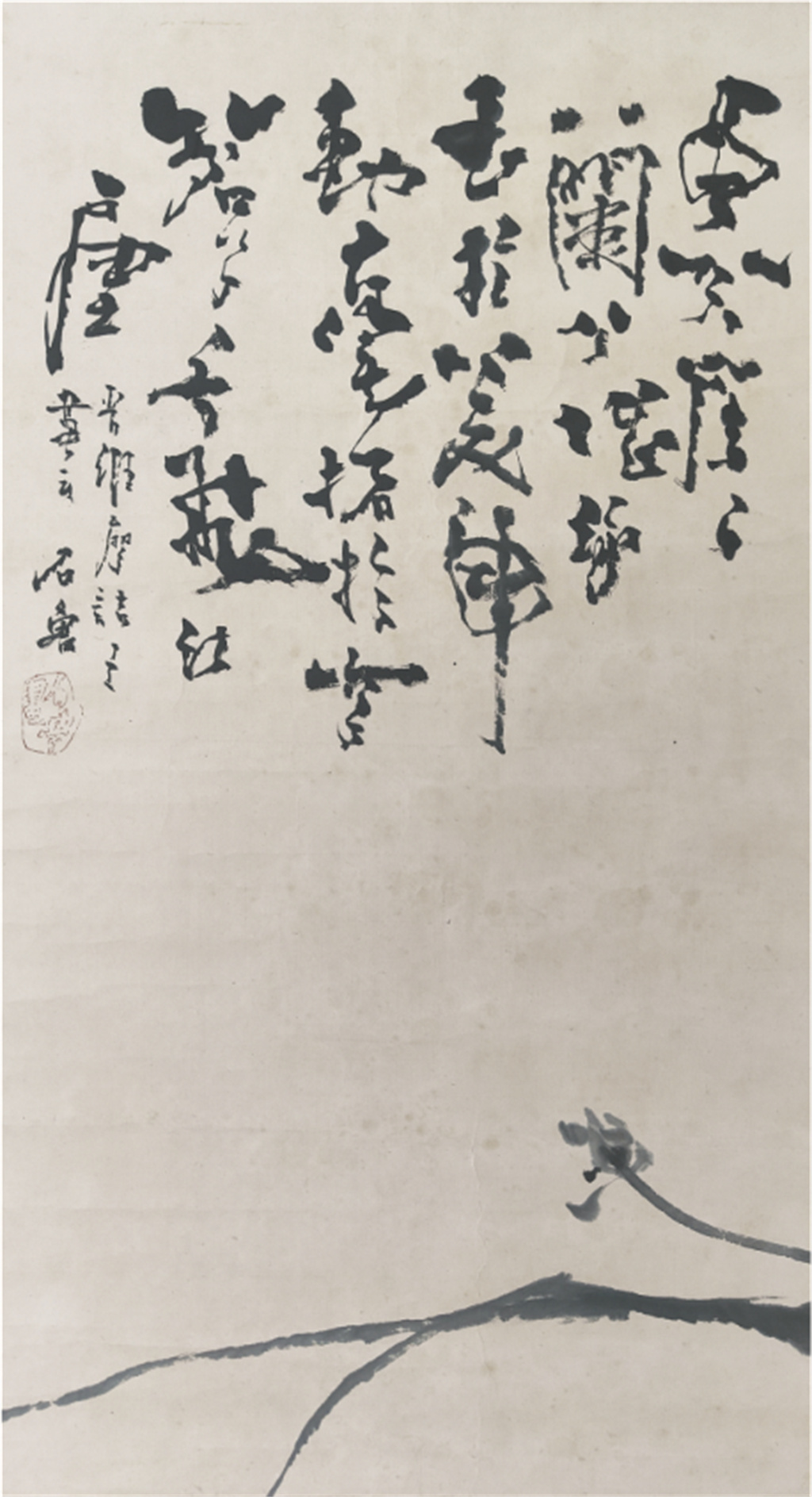 石鲁     兰花