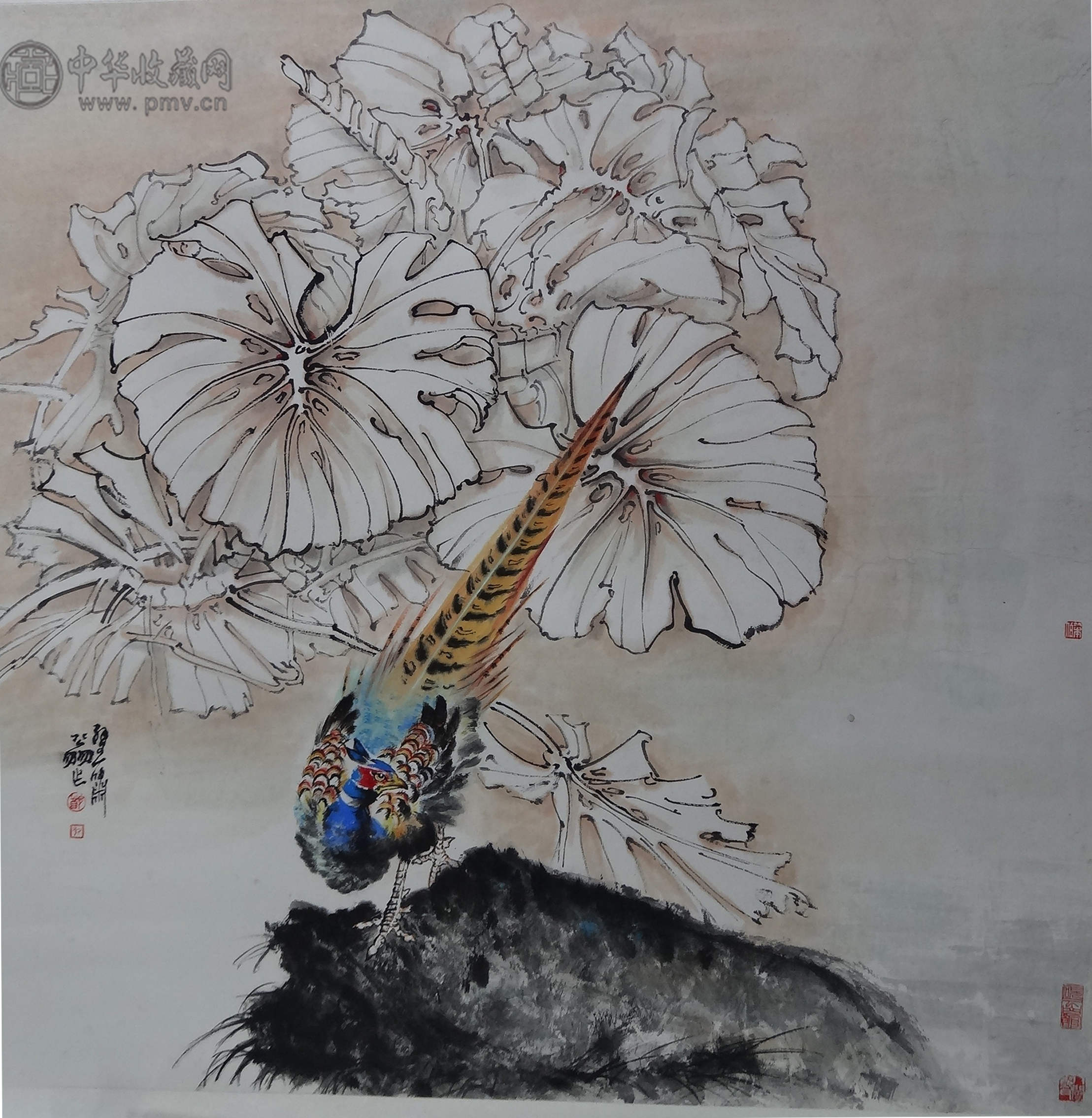 郑乃珖 《金鸡图》 89x89cm