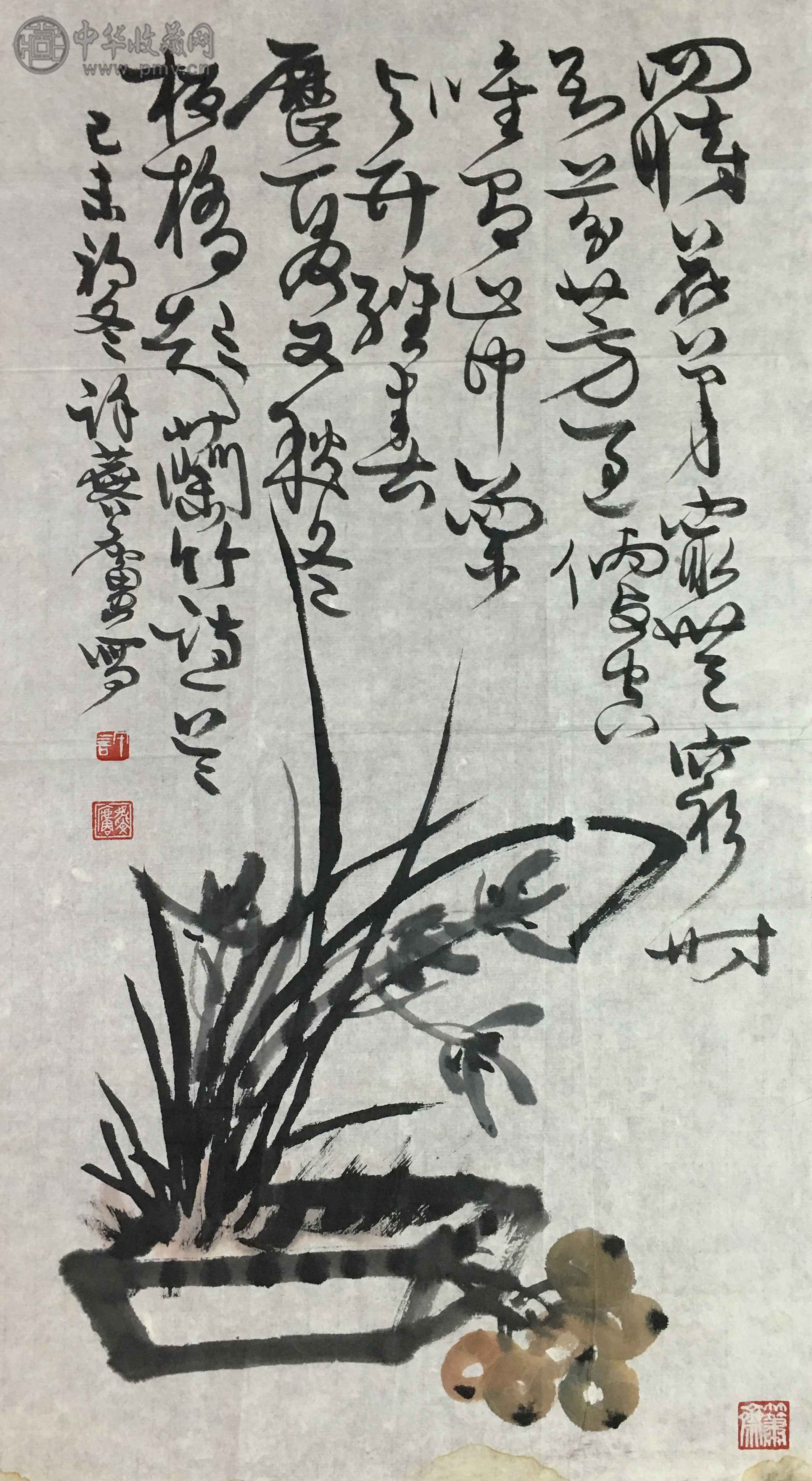  许麟庐  《兰草图》  93X49CM