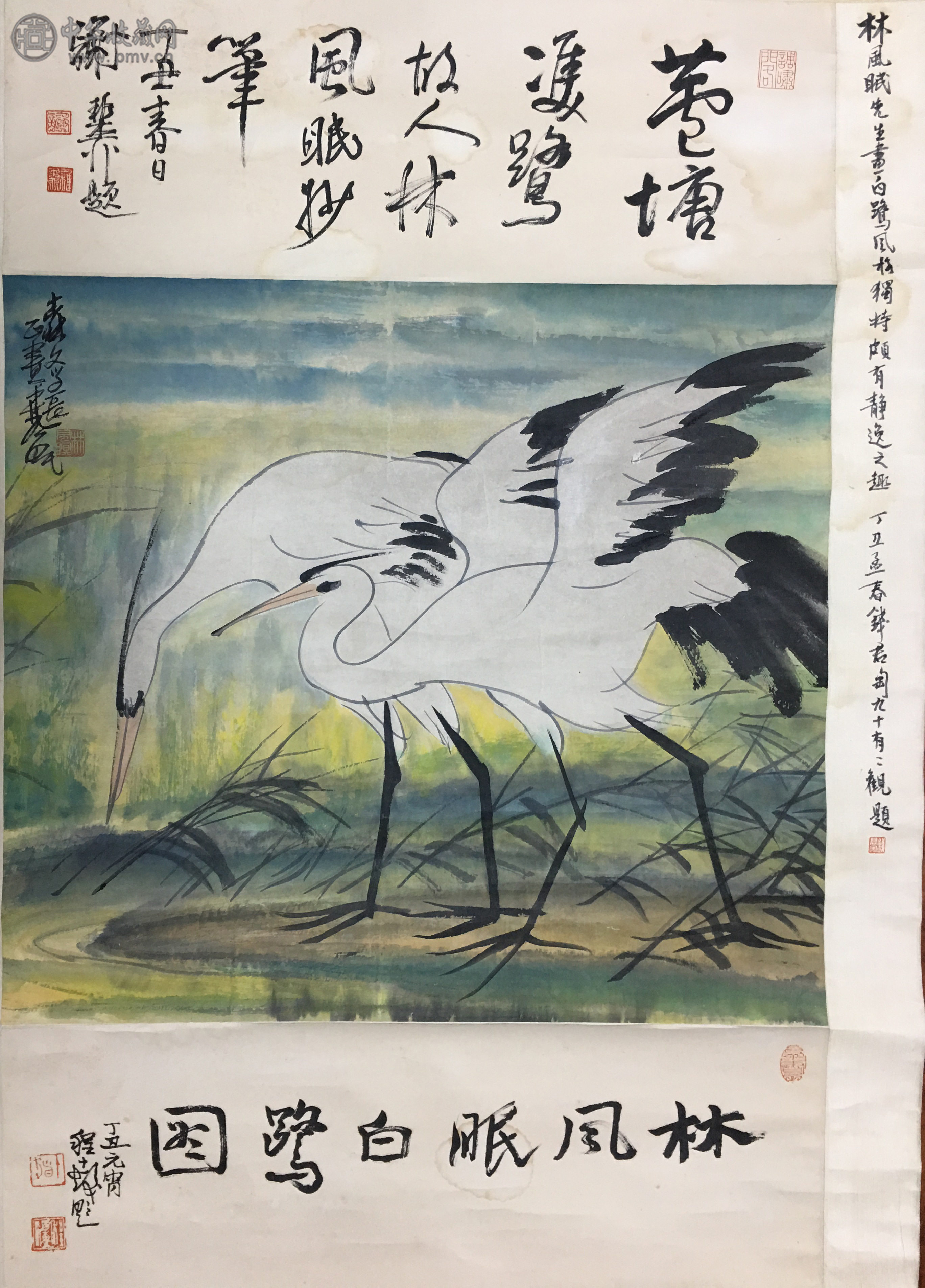 林凤眠  《白鹭图》 57.5x52cm