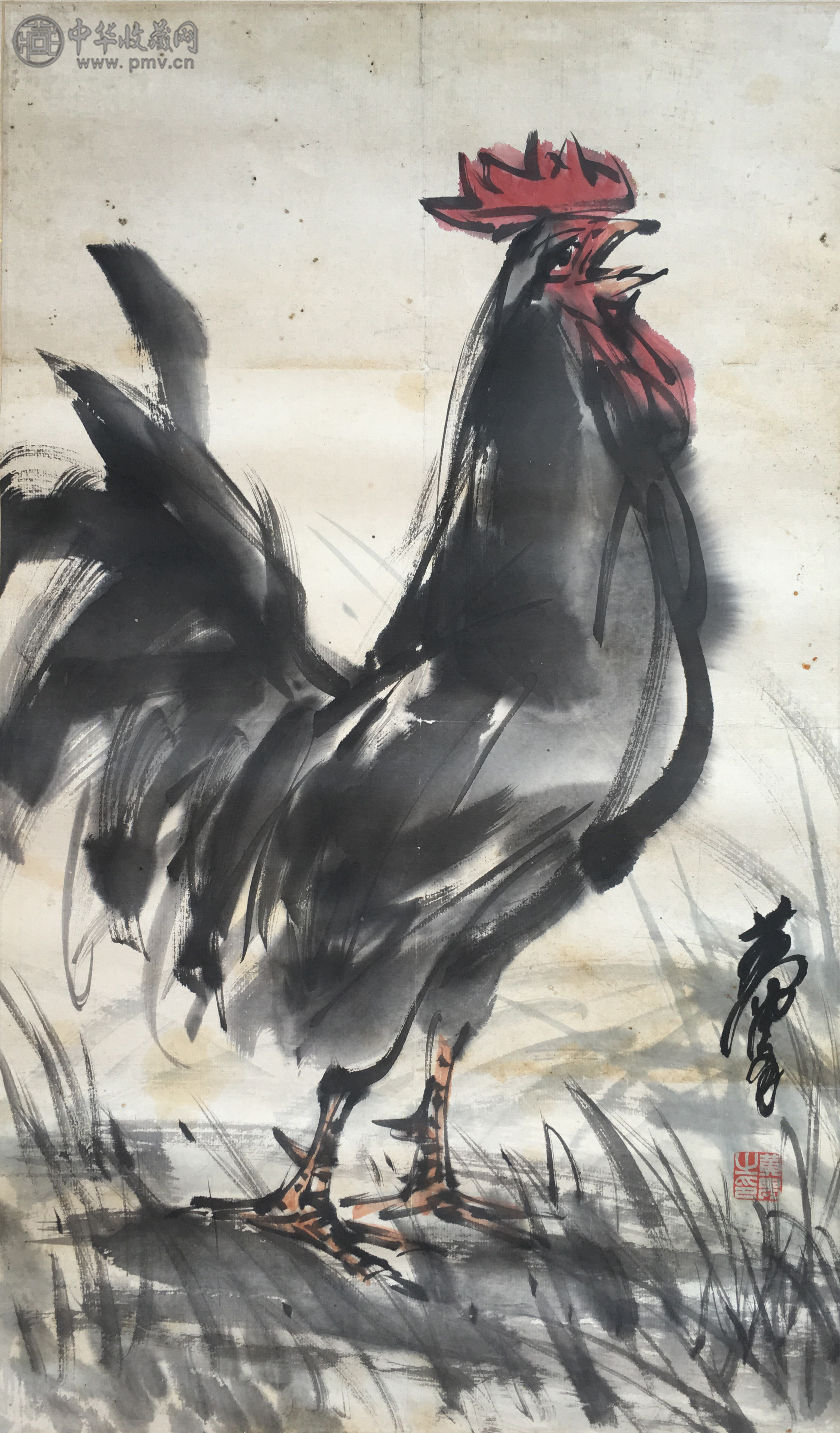 黄胄  《雄鸡图》 70x48cm