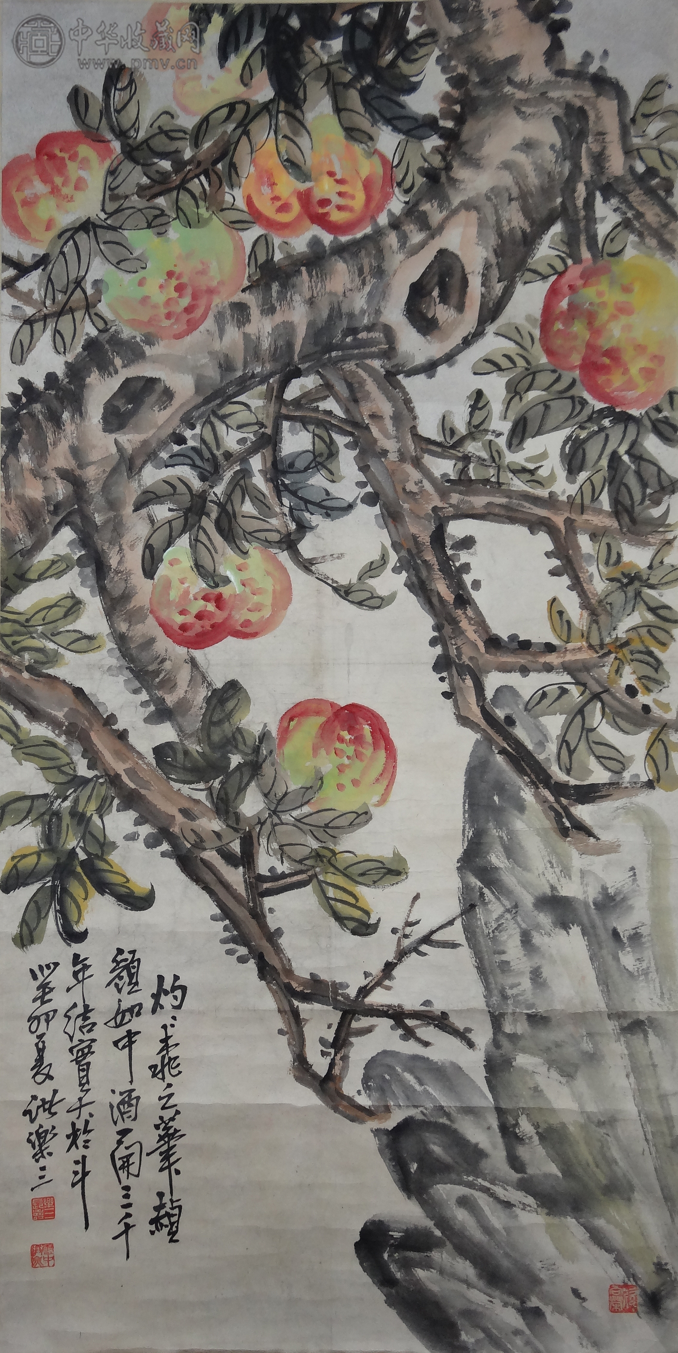  诸乐三  《寿桃》   67.5x135cm