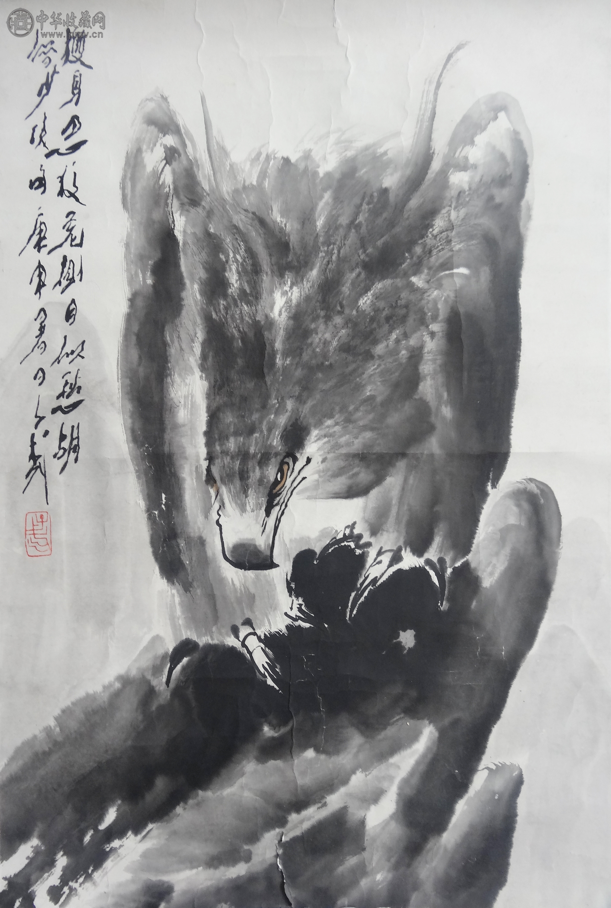 王子武 《松鹰图》  47x70cm