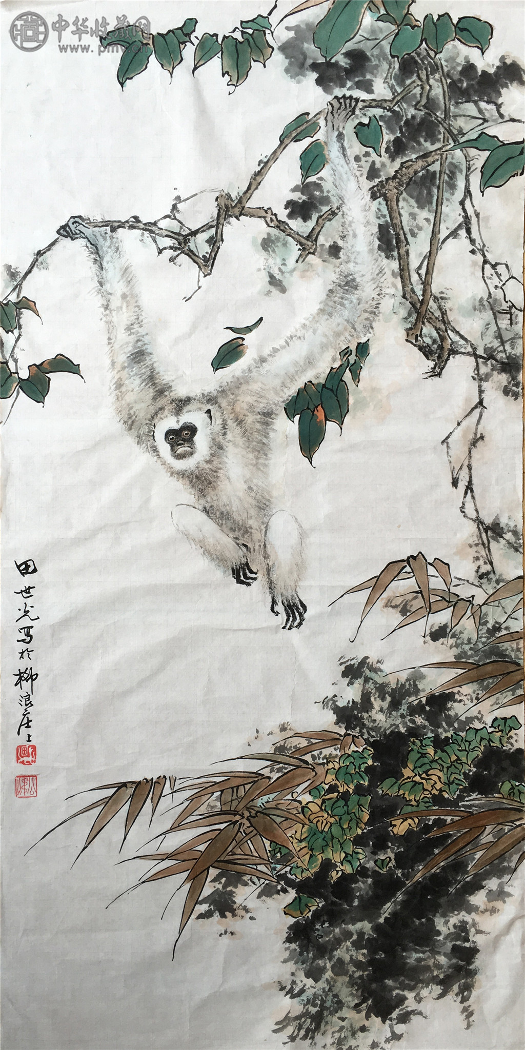 田世光  《工笔封猴图》  85x42cm