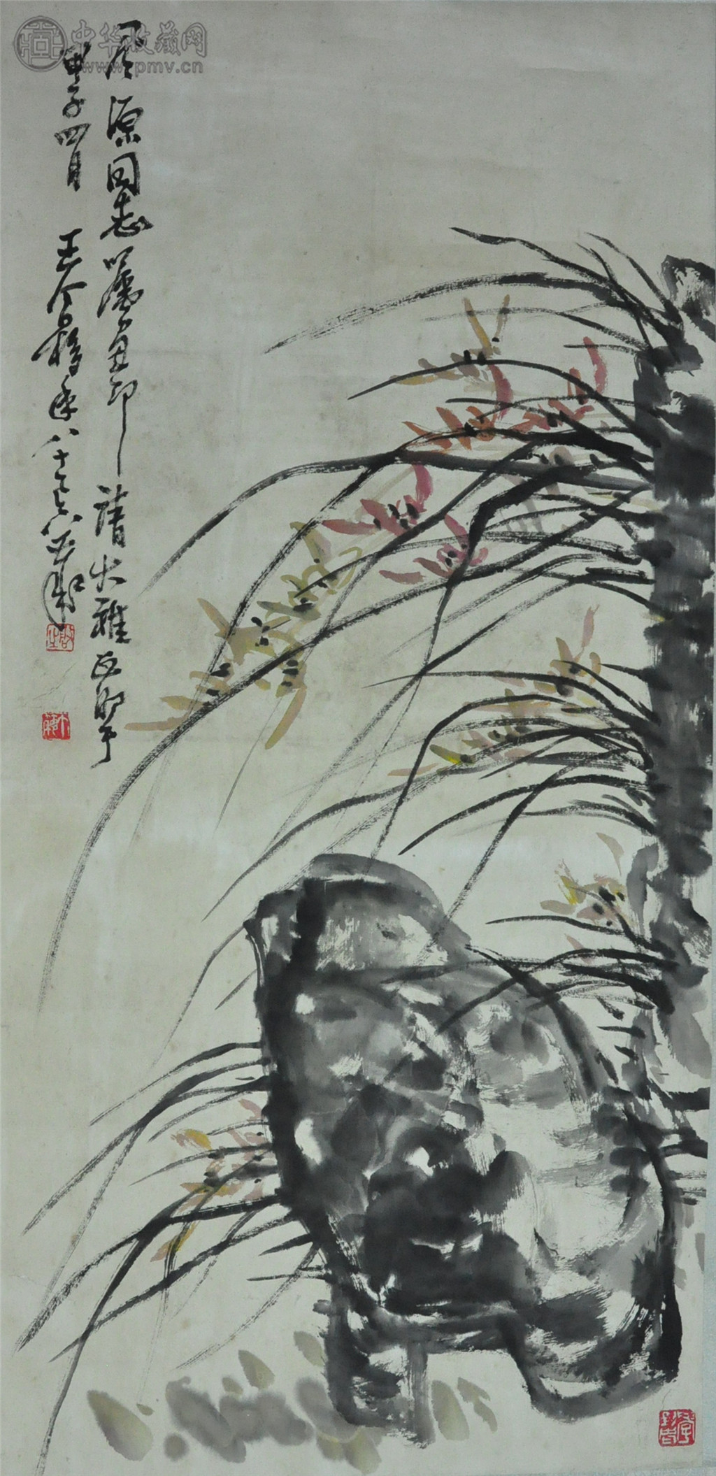 王个移  《兰石图》  35x75cm