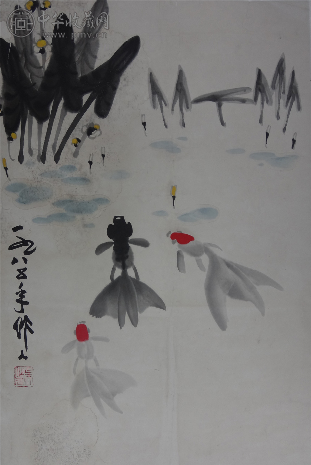 吴作人  《金鱼》  46X68cm